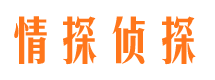 白下市侦探调查公司